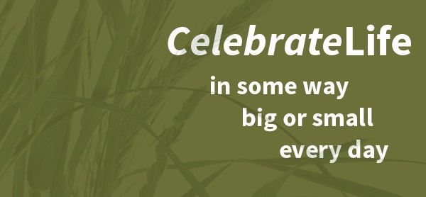 celebrate life in some way big or small everyday