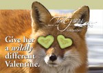 tallgrass_spa_valentine_fox