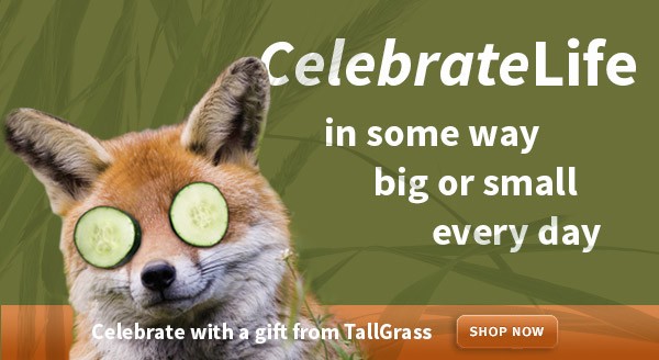celebrate with a gift from tallgrass