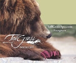 tallgrass_spa_bear