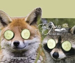 tallgrass_spa_fox_raccoon