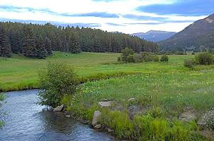 Bear Creek Running through TallGrass Meadow