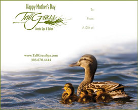 Treat your Mom or wife to a rejuvenating visit to TallGrass Aveda Spa and Salon with a TallGrass Spa gift certificate.