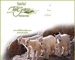 TallGrass instantly printable gift certificates can be used for therapeutic, hot stone and bamboo fusion massages as well as all our other spa and salon services.