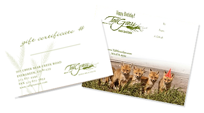 Gift Certificate