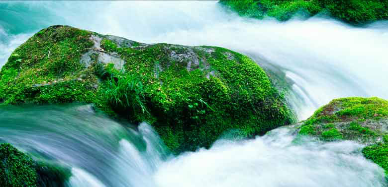 Green Resources