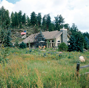 TallGrass meadow