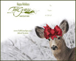 Gift Certificate