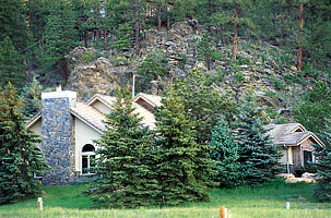 TallGrass nestled among the pines