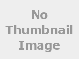 tallgrass_spa_bear