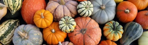 Pumpkins