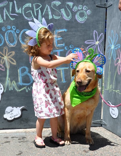 Dog Wash Photo Booth