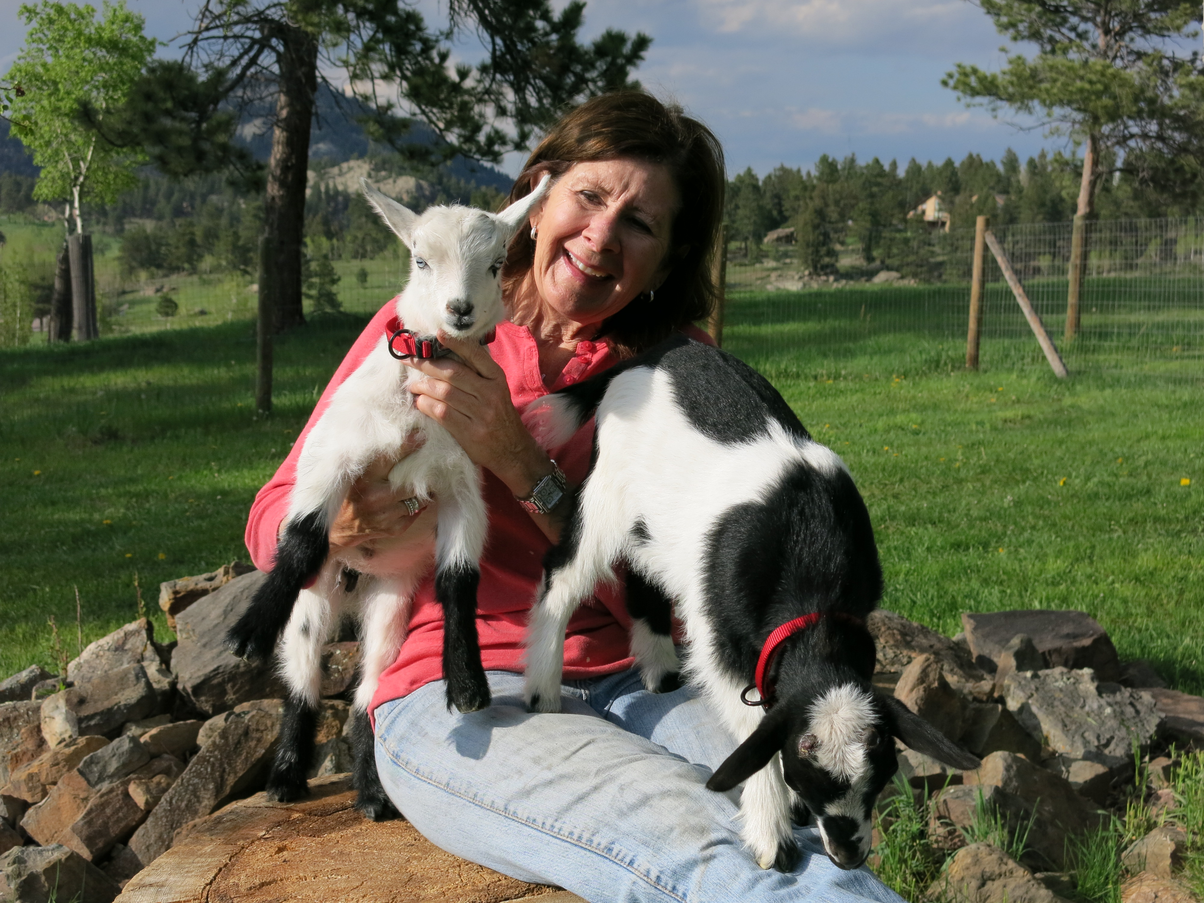 gail and goats 1