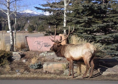 TG Elk Lot 1