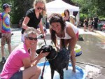 dogwash3.jpg
