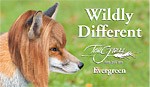 tallgrass_spa_fox_hair