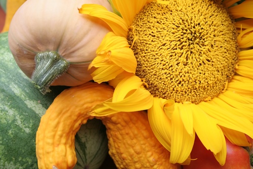 October Image