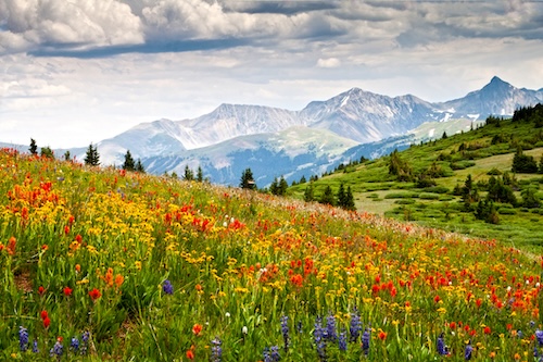 Landscape